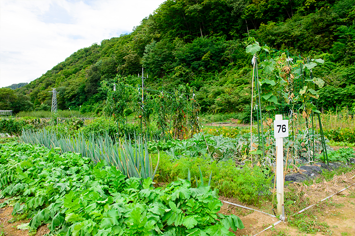 副業農家の始め方は?