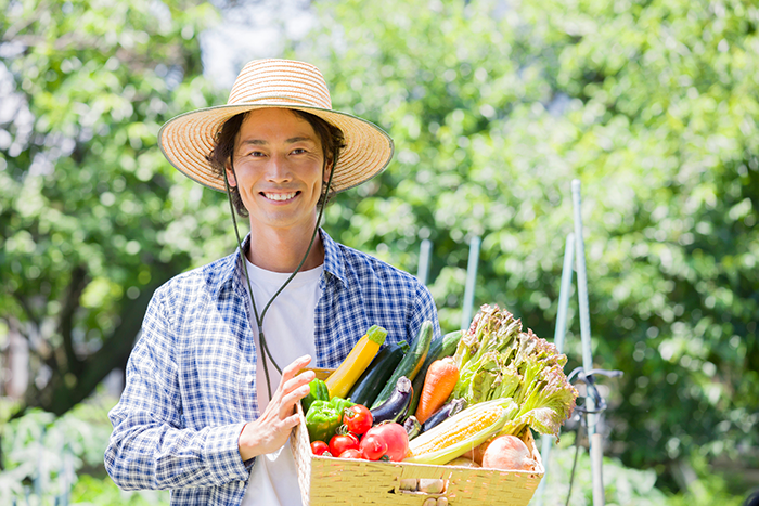 副業農家のデメリットとメリットは?