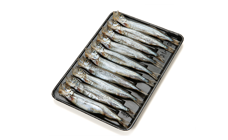 アイスランドってどんな国?~日本も学ぶべき自然エネルギー大国~