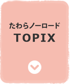 たわらノーロード TOPIX